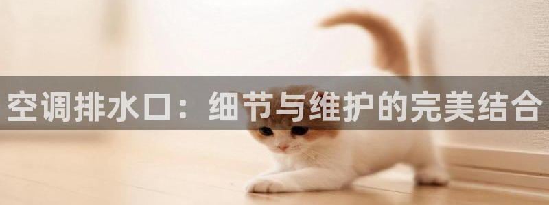 众东腾娱乐客服
