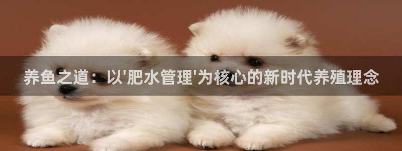 众腾娱乐APP下载