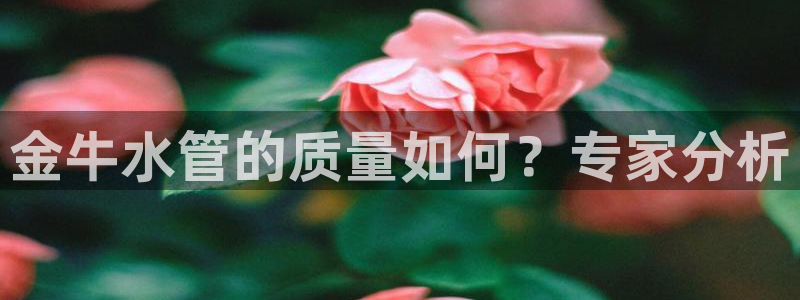 众腾娱乐开户