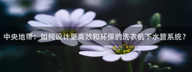 腾耀娱乐众推55312