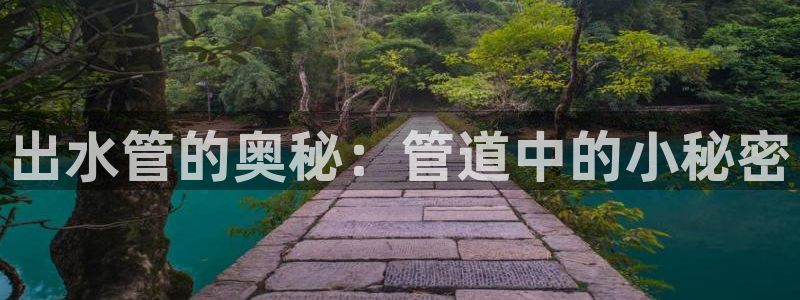 众腾娱乐文化怎么样