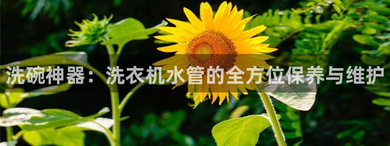 众腾娱乐梦幻演艺店