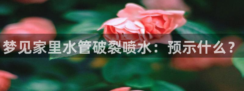 众腾娱乐平台官网入口