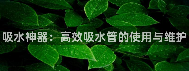 腾众娱乐是个啥
