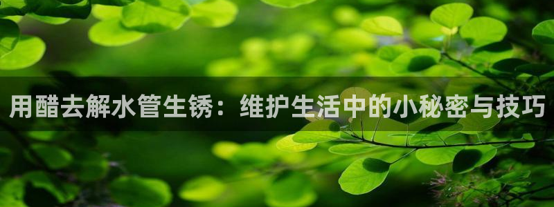 众腾娱乐开户