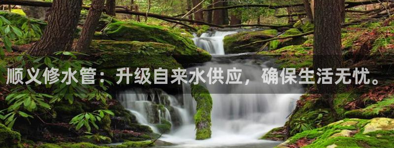 腾众竞技娱乐