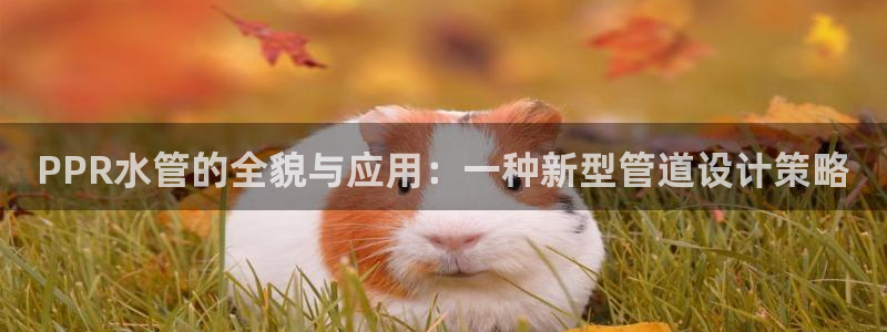 众腾娱乐发7O777