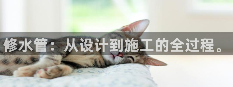 众腾娱乐总代理
