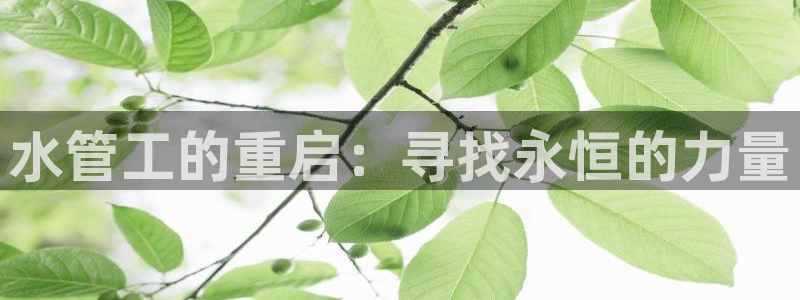 众东腾娱乐客服