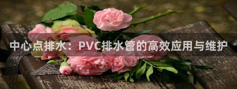 众腾娱乐毕 7O935