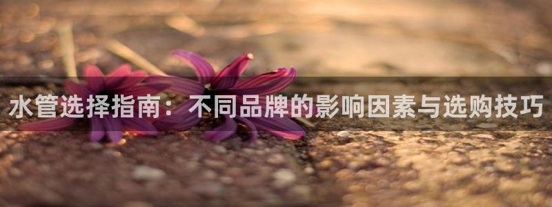 楚雄众腾娱乐