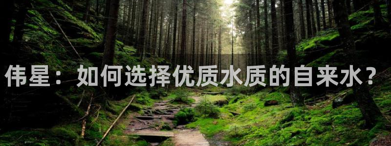 众腾娱乐