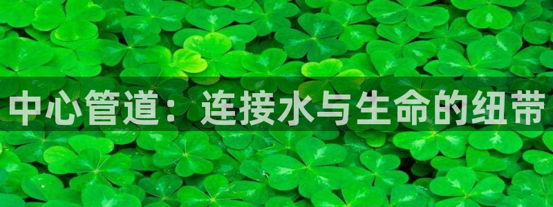 众腾娱乐发7O777